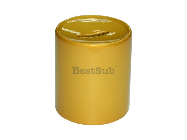 Personalized gift case — gold